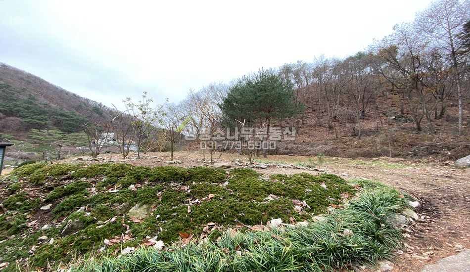 양평군 옥천면 용천리 경관좋은 주택지