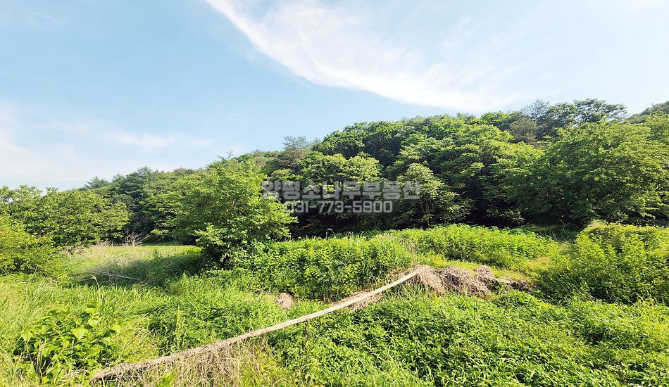양평군 단월면 봉상리 자연림 임야 개발부지