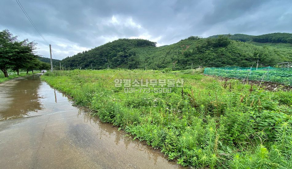 양평군 용문면 덕촌리 하천변 진흥구역 토지/실면적 1000평