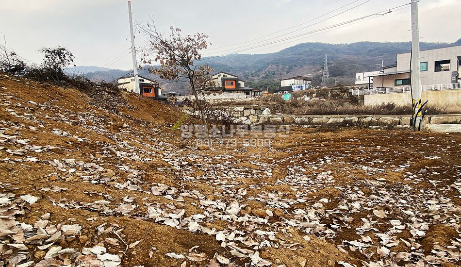 양평군 양평읍 대흥리 자연림 임야 분할매매/주택지