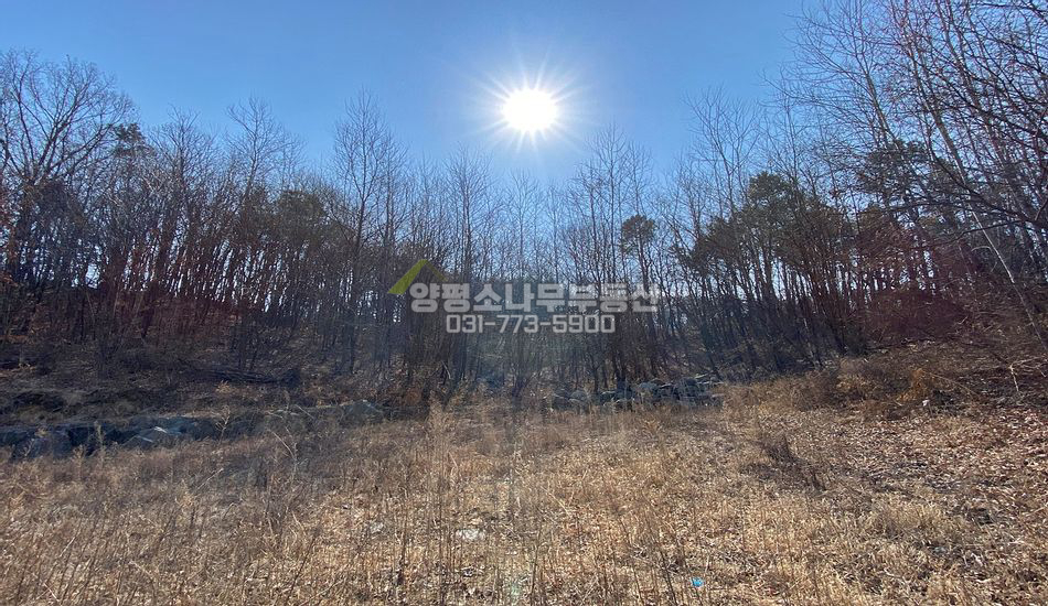 양평군 양서면 국수리 국수역, 6번국도 인근 주택지