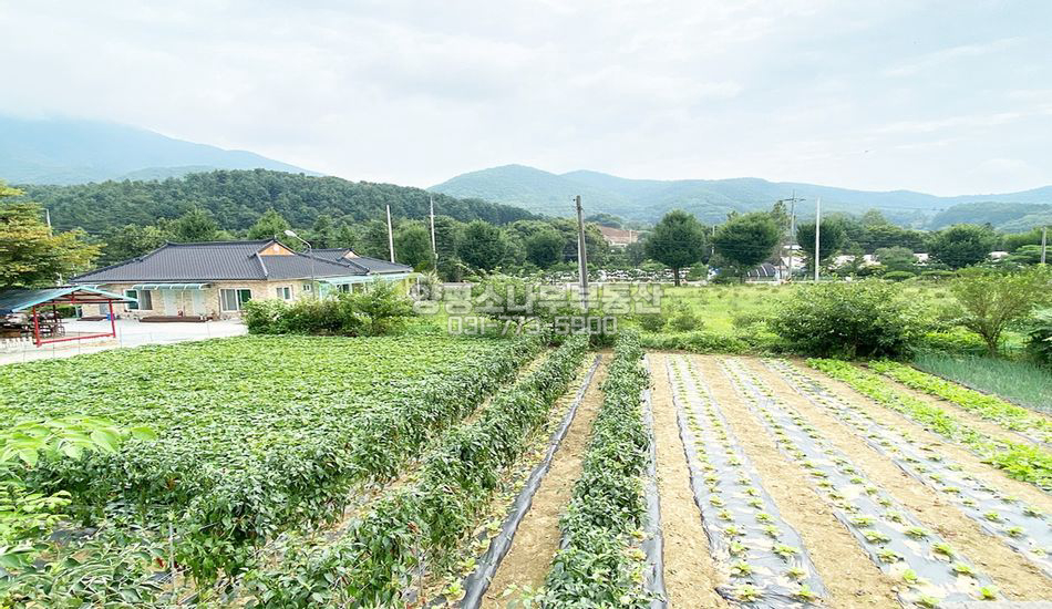 양평군 용문면 오촌리 접근성 최상 주택지