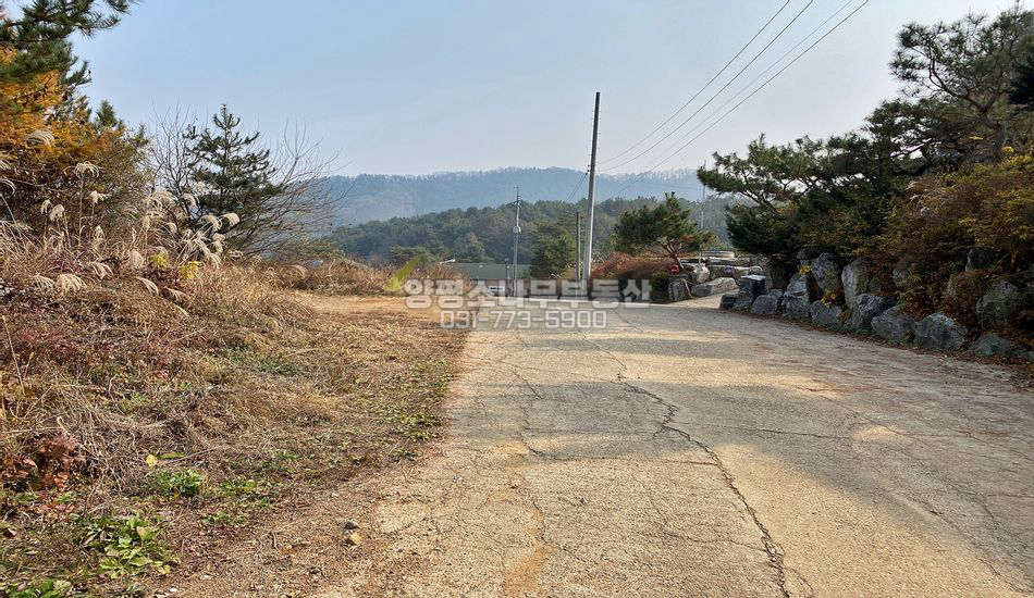 양평군 단월면 보룡리 마을상단 주택지/필지별 매매가능