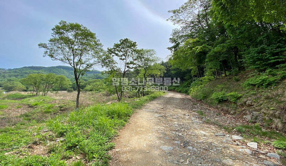 양평군 강하면 성덕리 마을 깊숙한 곳 농지/도로확장 예정