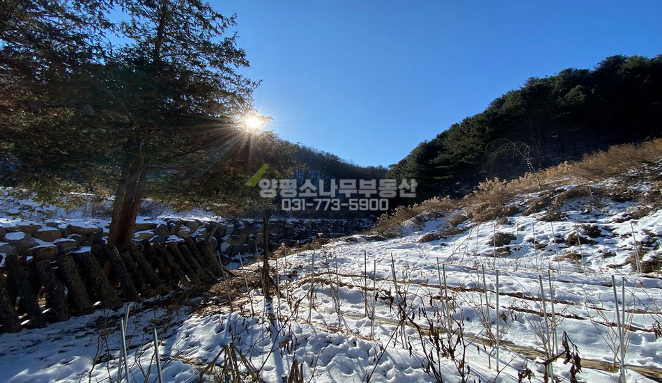 양평군 청운면 갈운리 캠핑장, 수련원, 힐링센터 추천