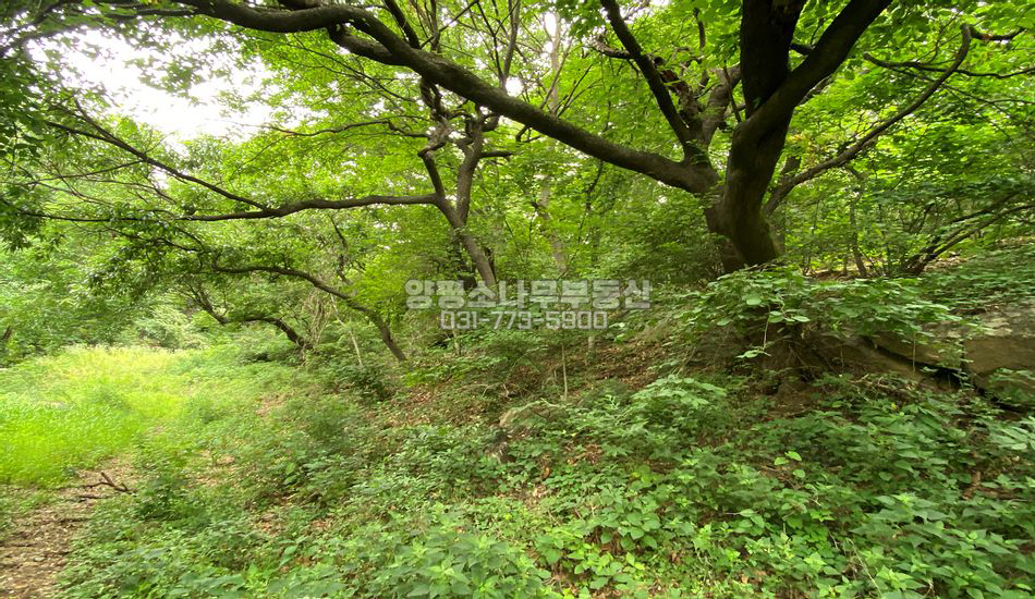 양평군 강하면 성덕리 마을 상단 사생활 보호