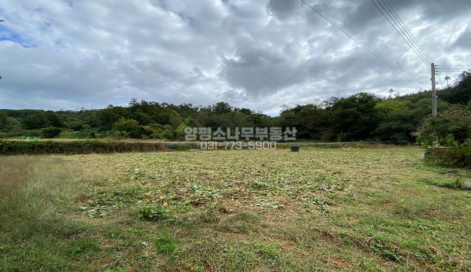 양평군 용문면 조현리 마을초입 평편한 주택지/주말농장