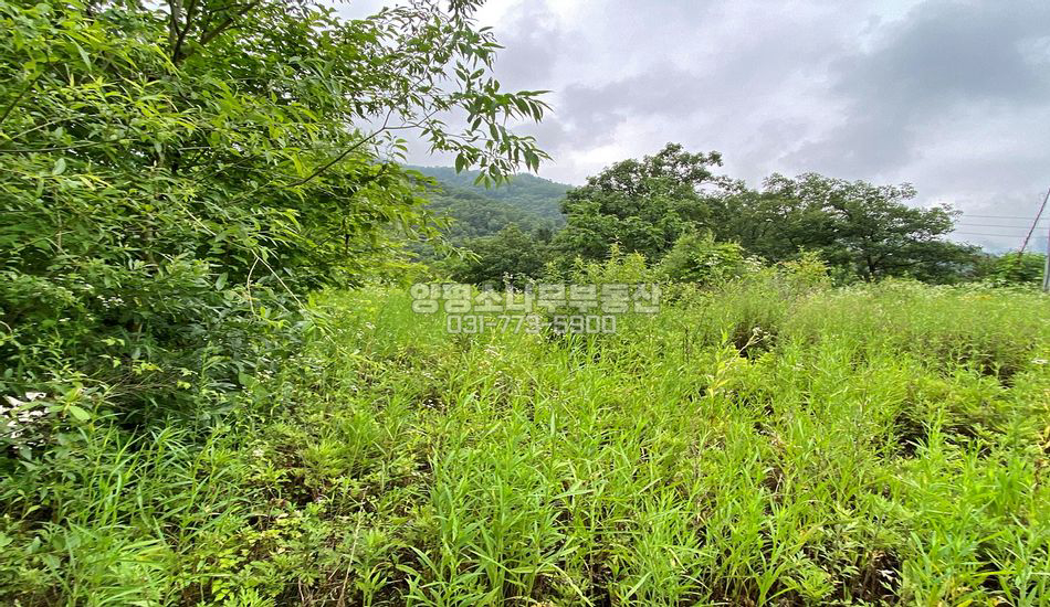 양평군 서종면 노문리 깊숙한 곳 1억대 주말농장 부지
