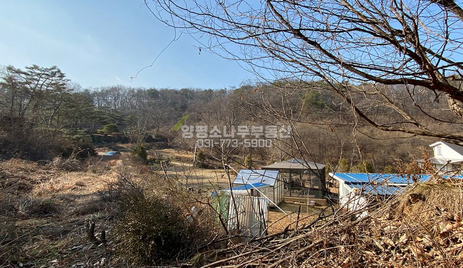 양평군 개군면 공세리 자연림 초기단계 단지형 주택지