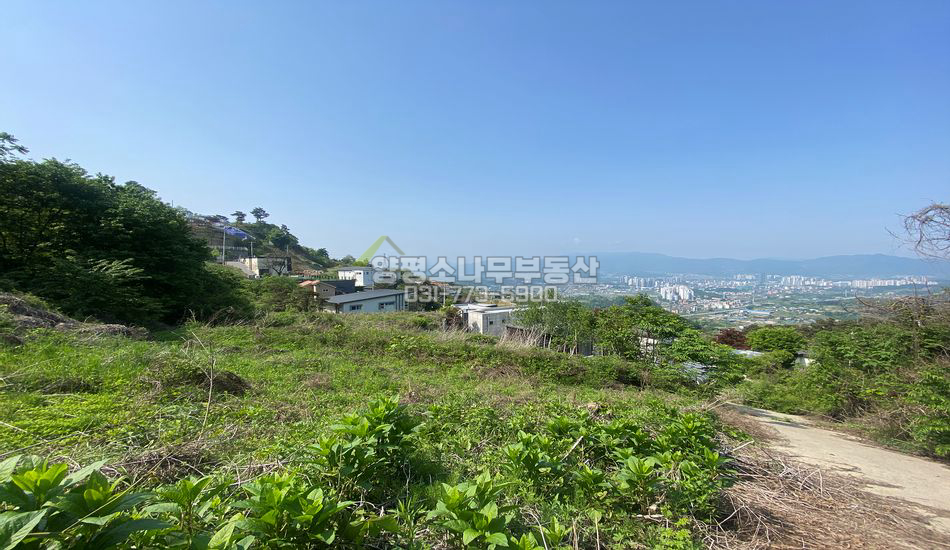 양평군 양평읍 백안리 경사지 임야