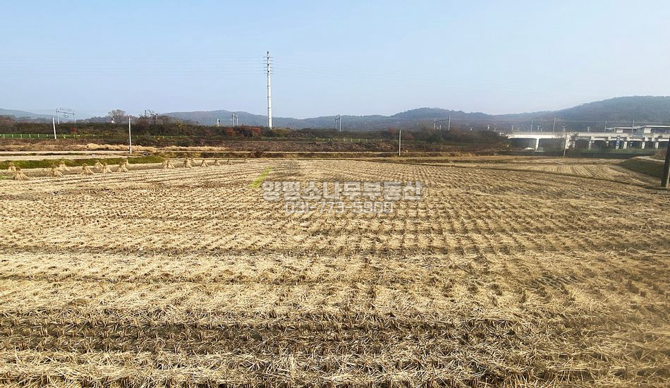 양평군 양동면 매월리 청량리역1시간/농지/주택지