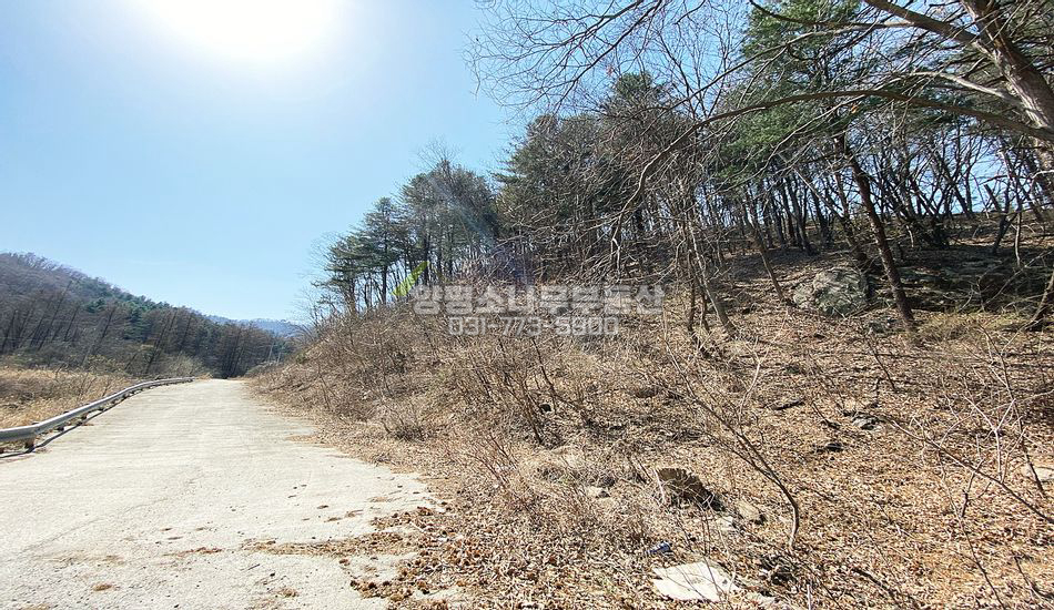 양평군 서종면 수능리 자연림 임야/토목공사 필요