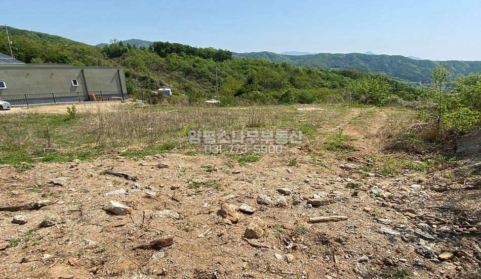 양평군 양서면 청계리 마을 상단 토목완료 1억대 토지