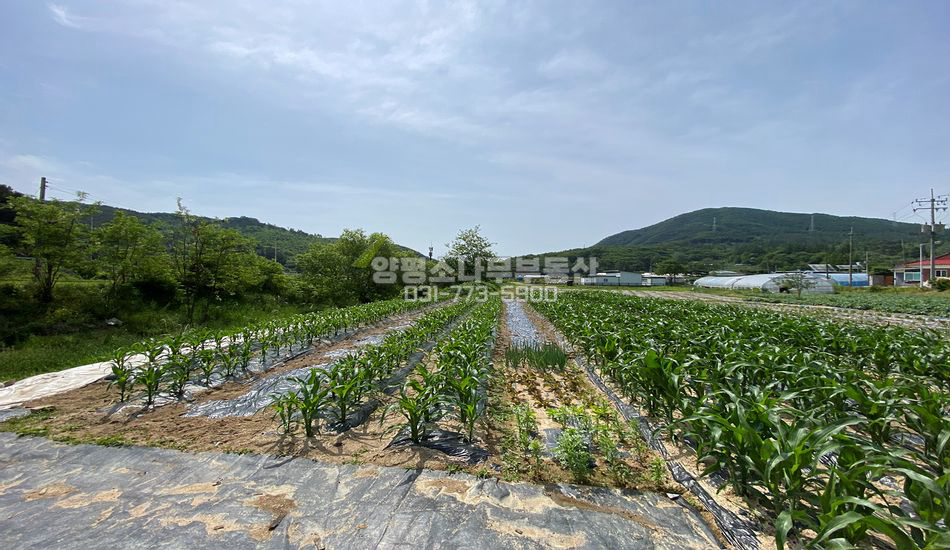 양평군 지평면 무왕리 접근성 최상 주말농장/주택지