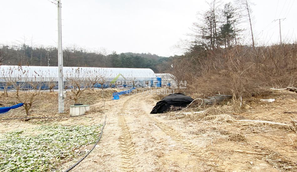 양평군 양서면 증동리 고속도로 바로 옆 필지/광고판