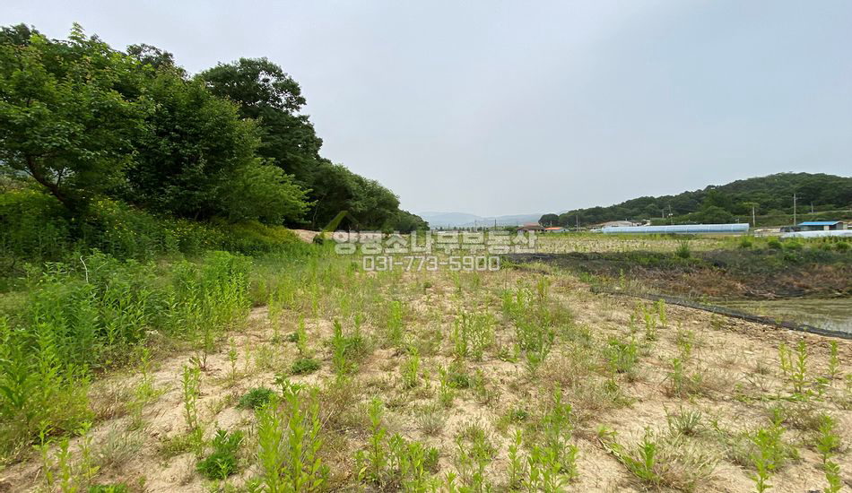 여주시 대신면 당남리 마을 내 진흥구역 토지