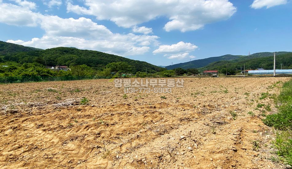 양평군 단월면 향소리 2차선 지방도 접한 농업진흥구역