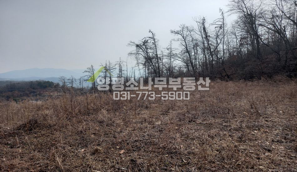 양평군 양서면 청계리 마을 최상단/보강토토목/2단지형