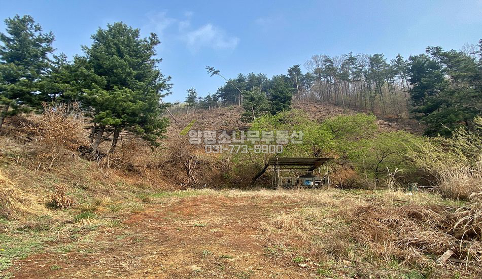 양평군 강하면 전수리 사기막 저수지 인근 자연림 토지