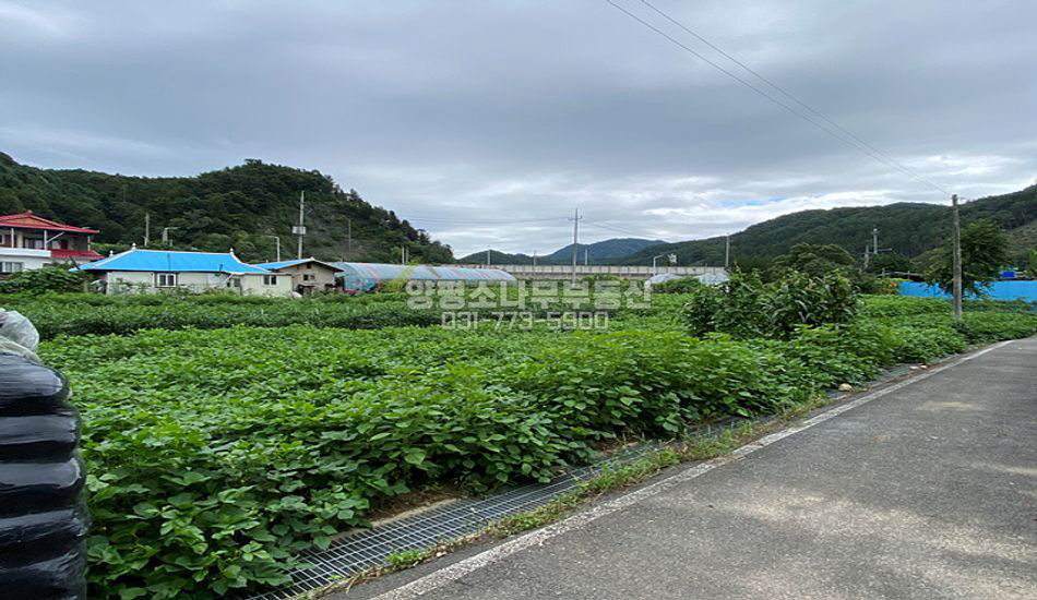 양평군 청운면 용두리 기존마을 내 주택지/편의시설 도보