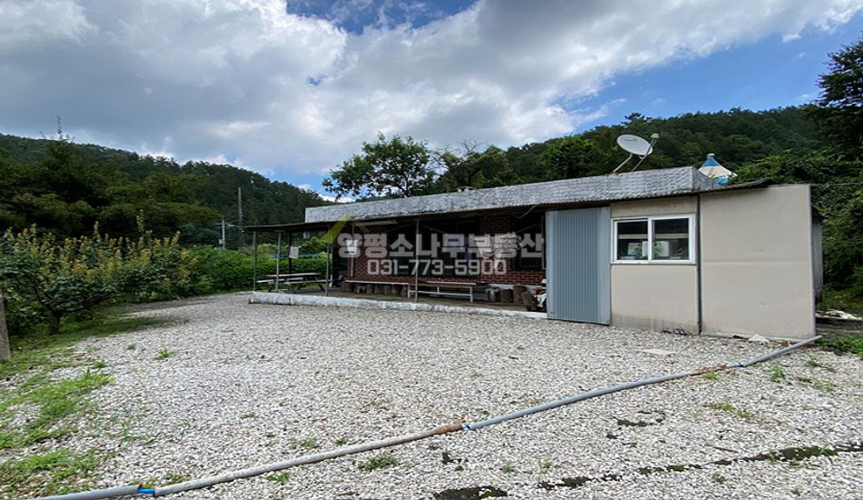 양평군 단월면 부안리 넓은터 무허가건물/비닐하우스