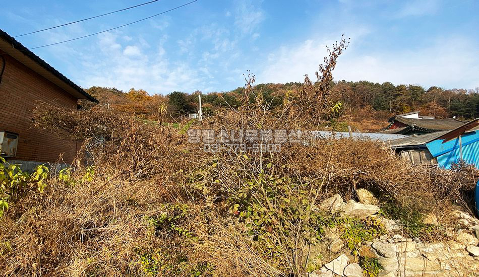 양평군 양서면 도곡리 구옥 멸실된 부지