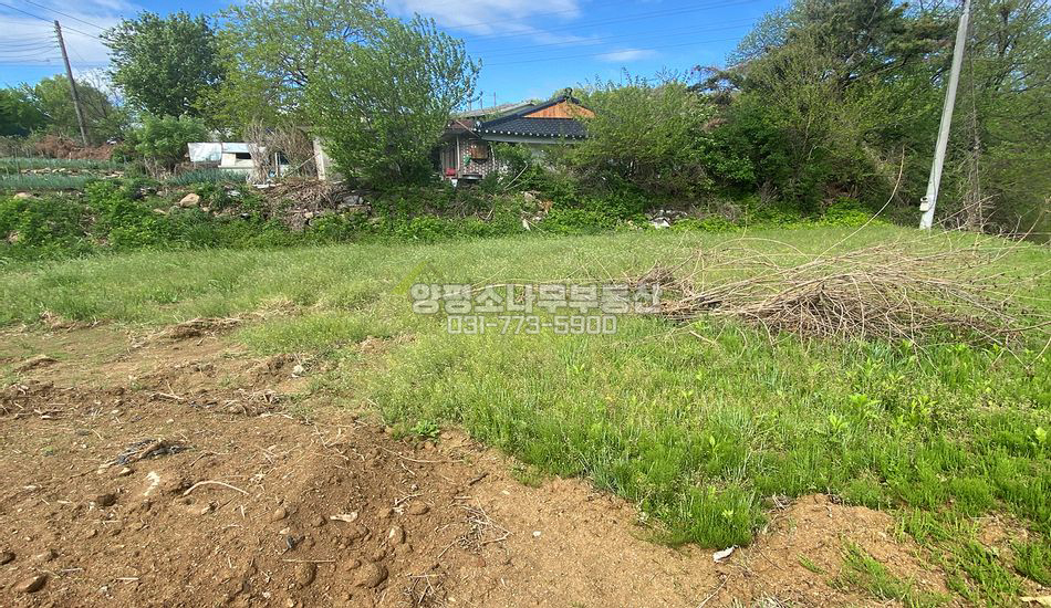 양평군 양평읍 백안리 백안리 평지 주택지