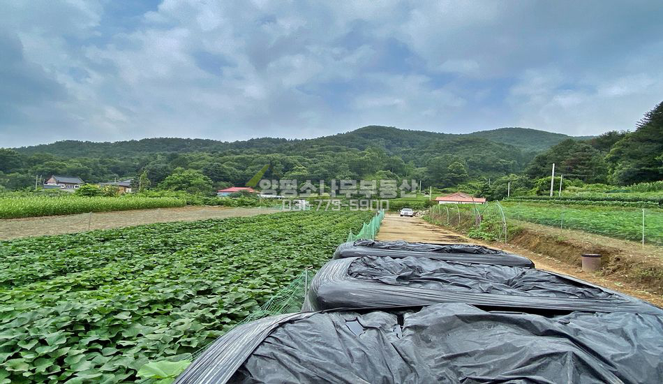 양평군 양동면 쌍학리 접근성 좋은 주택지/계획관리