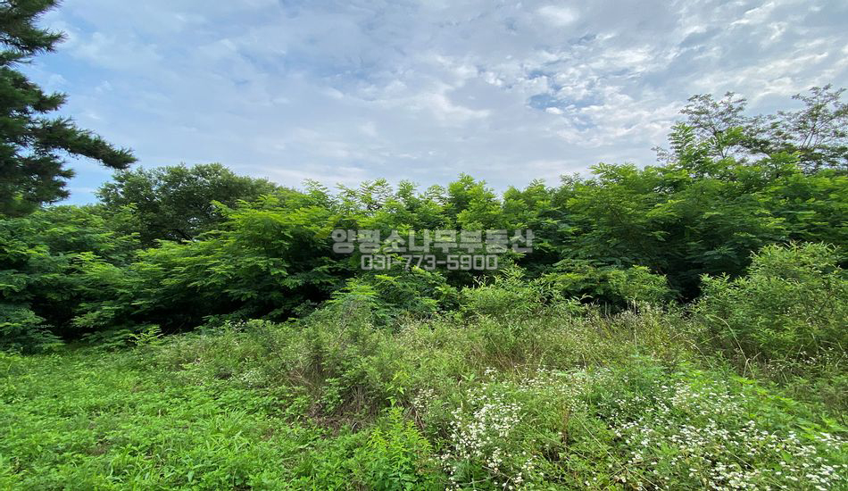 양평군 양평읍 창대리 차량2대 교행 가능 주택지