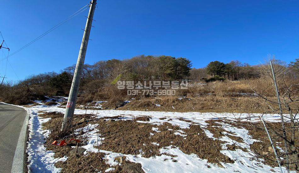 양평군 단월면 명성리 개울인근 평지 산자락 필지