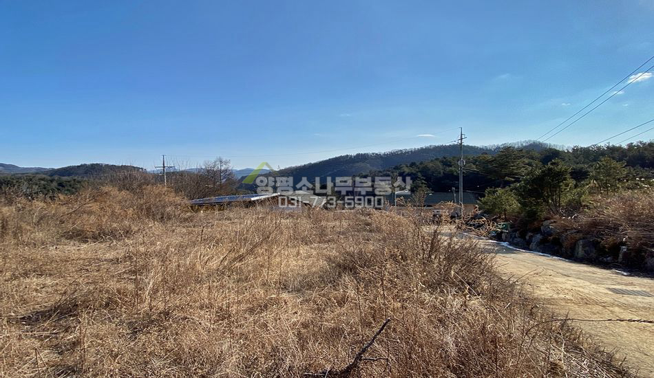 양평군 단월면 보룡리 1억미만 주택지/면소재지 도보