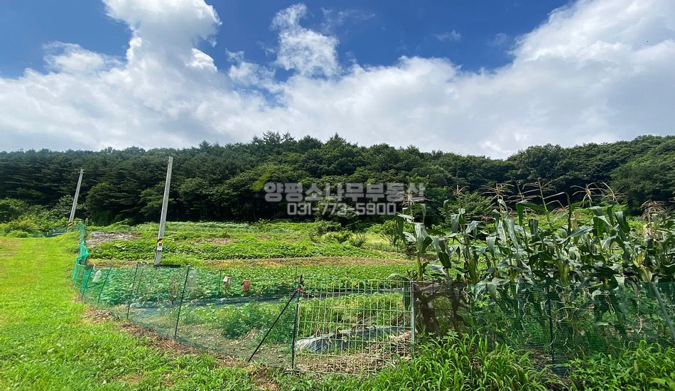 양평군 청운면 비룡리 현황도로 저렴한 농막부지