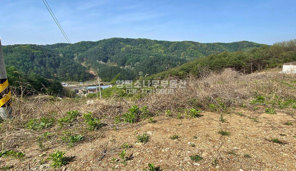양평군 청운면 가현리 단지개발 주택지