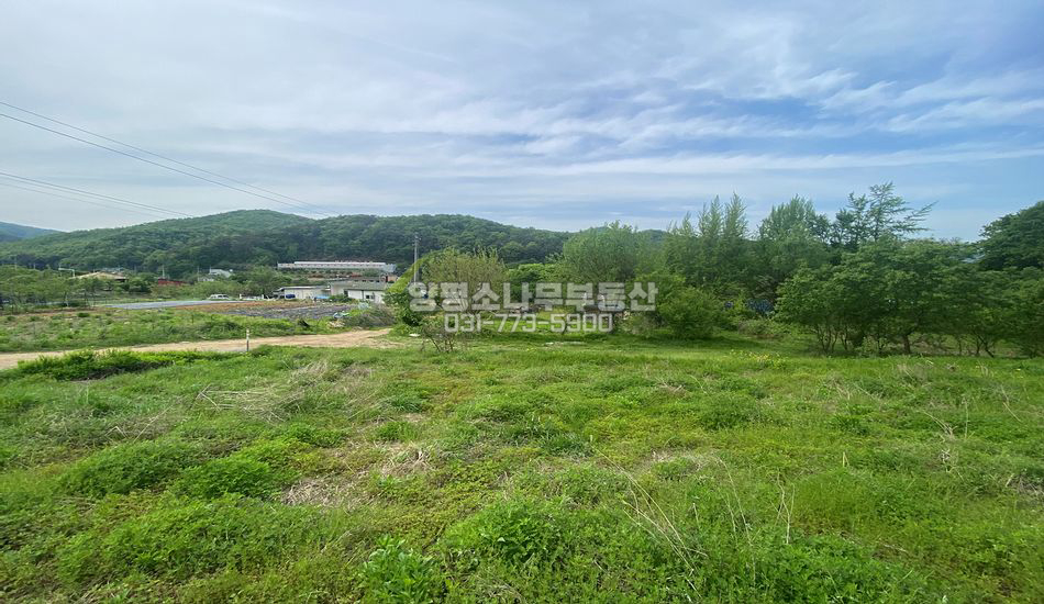 양평군 강하면 왕창리 완만한 상단부 산자락 부지