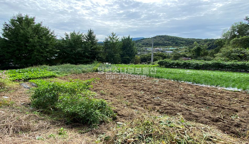 양평군 양평읍 대흥리 지방도 인접한 계획관리 필지