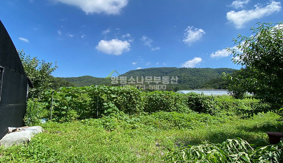 양평군 양서면 부용리 양수역차량5분/주말농장/농막부지