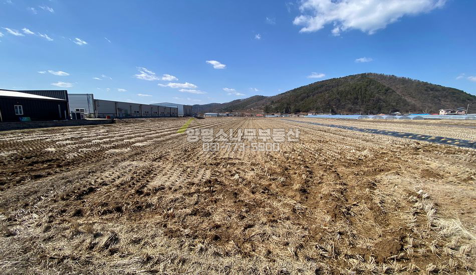 양평군 청운면 삼성리 경지정리된 진흥구역 농지
