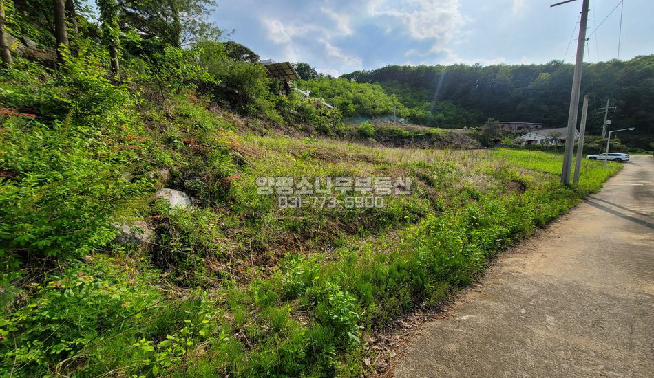 양평군 강하면 항금리 경관좋은 주택지/토목필요