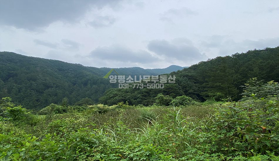 양평군 단월면 삼가리 마을 상단 사생활 보호 주택지