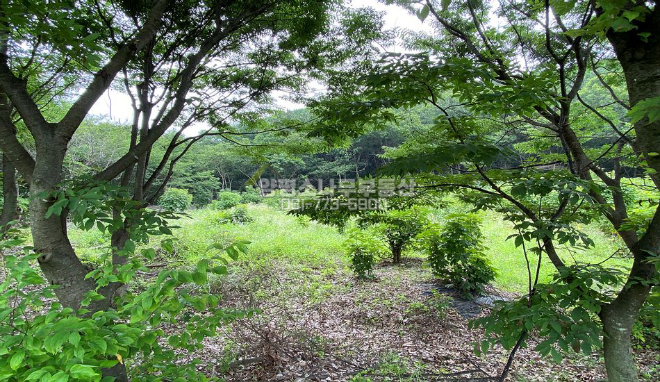 양평군 개군면 주읍리 맹지 완만한 경사지