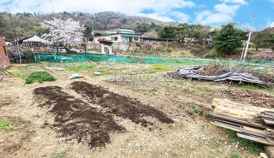 양평군 옥천면 신복리 마을 최상단부 평편한 농지