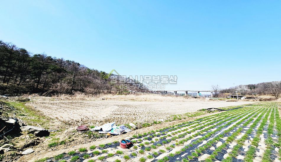 양평군 양동면 단석리 동양평ic차량3분 계획관리 농지