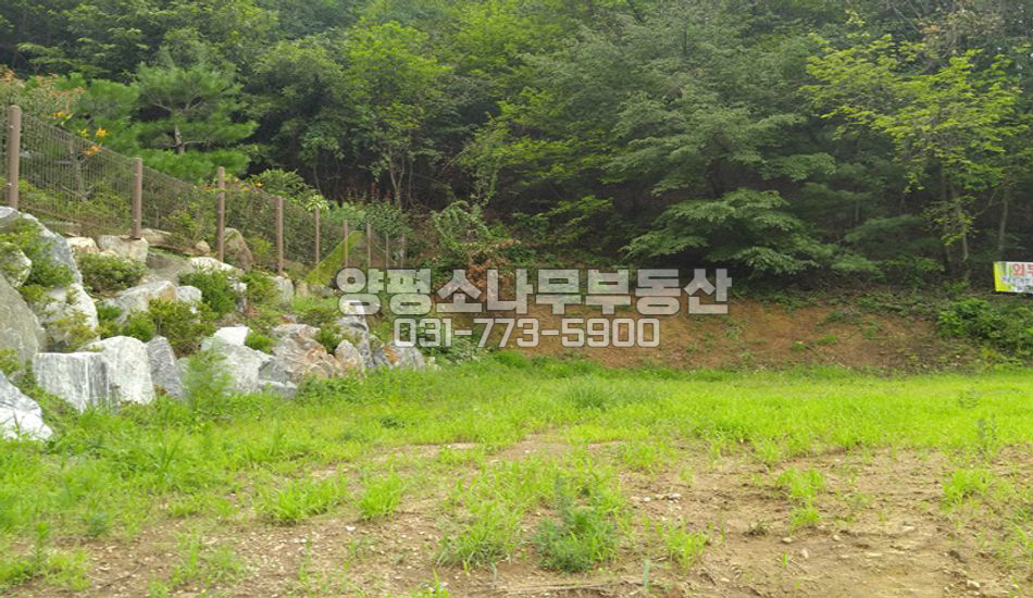 양평군 양서면 국수리 국수리 마을 안쪽/평지 남향