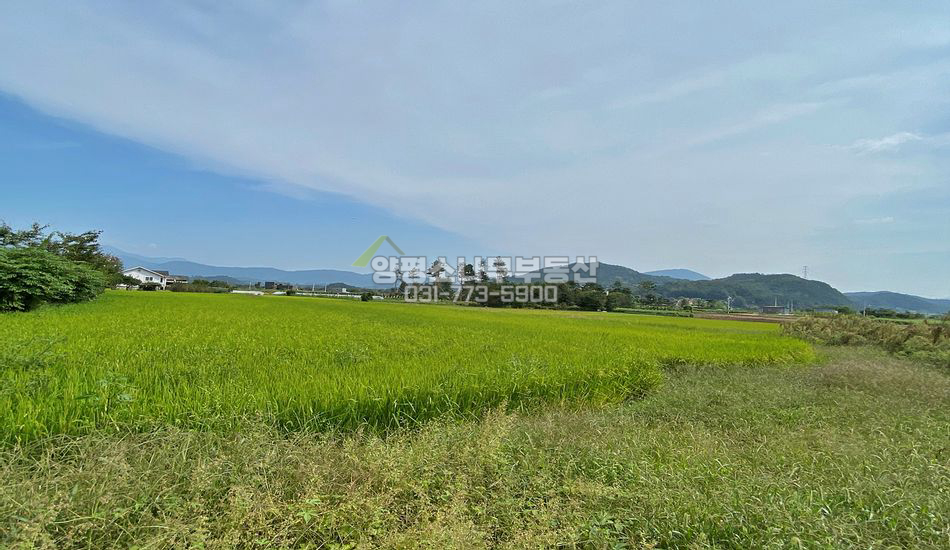 양평군 강상면 세월리 초등학교 인근 평지 주택지