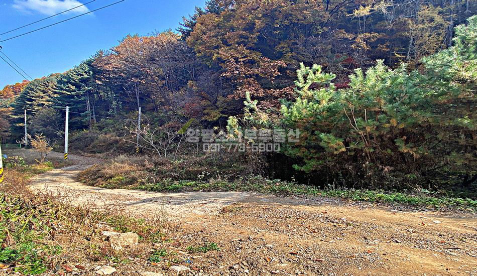 양평군 강하면 항금리 마을 깊숙한곳 개울접한땅
