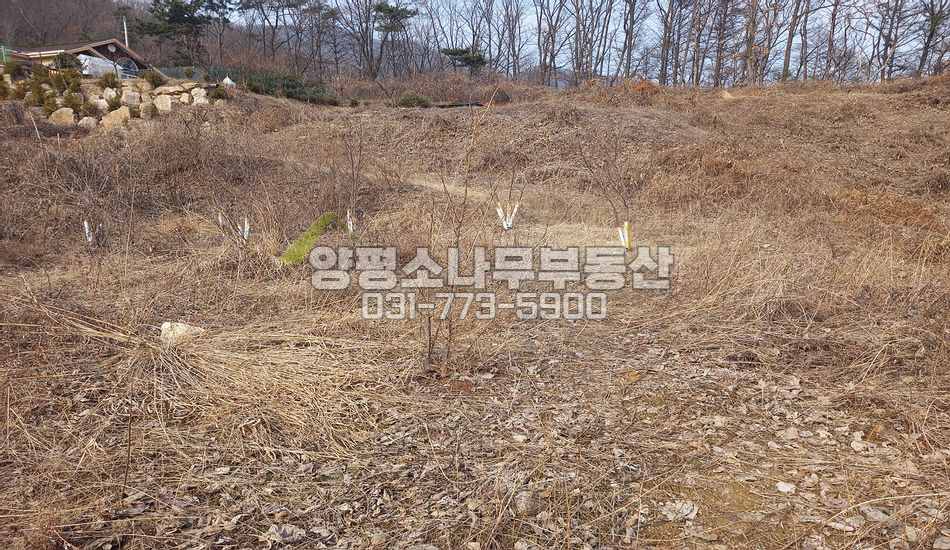 양평군 양서면 청계리 마을 최상단/남동향 전망/맹지