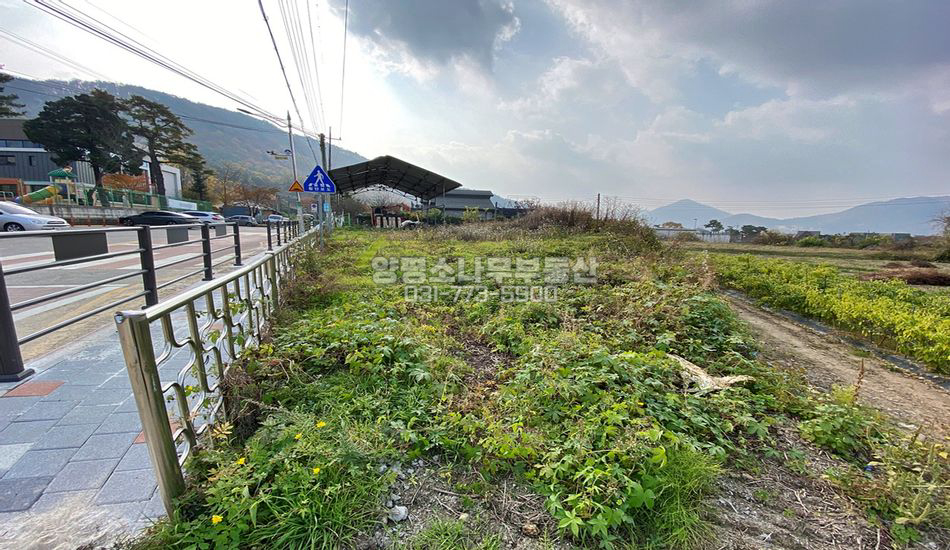 양평군 서종면 수입리 수입초등학교 앞 대로변 부지