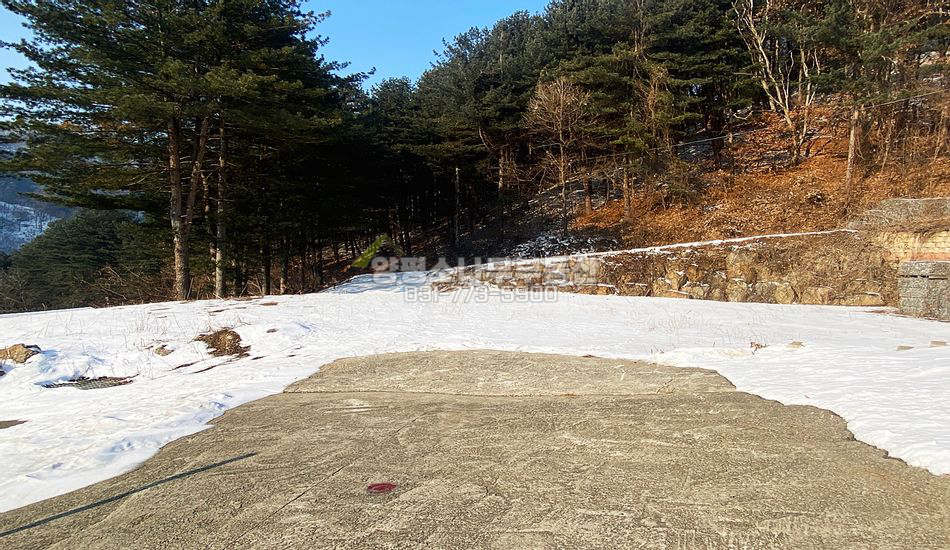 양평군 용문면 신점리 접근성 좋은 완만한 주택지