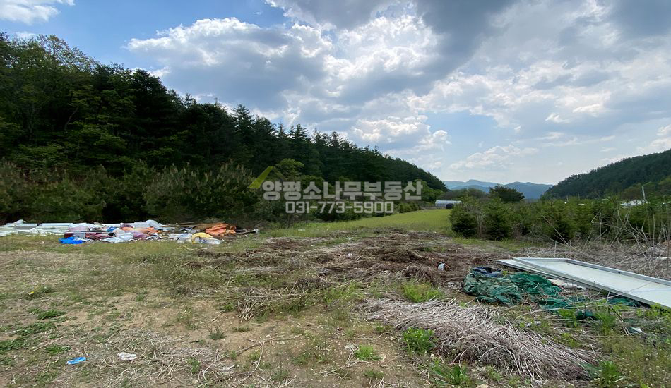 양평군 청운면 여물리 평지 산자락 주택지/편의시설 5분
