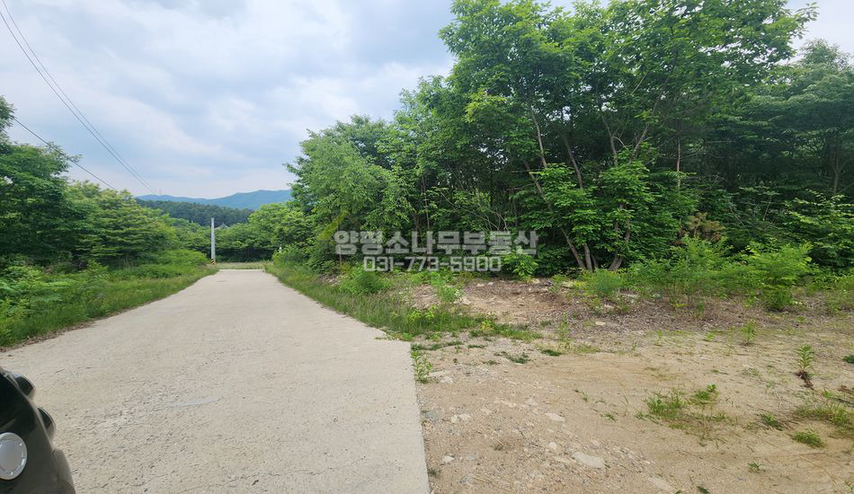 양평군 청운면 신론리 풍광좋은 마을상단 주택지